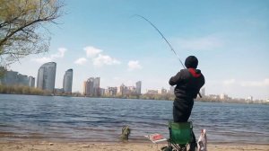 🎣лещ проснулся🎣😱😱.  ловля весенних трофеев 🎣🎣🏆 #рыбалка #фидер рыбалкавкиеве