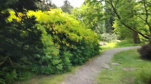 Прекрасное Далёко - танец из будущего...