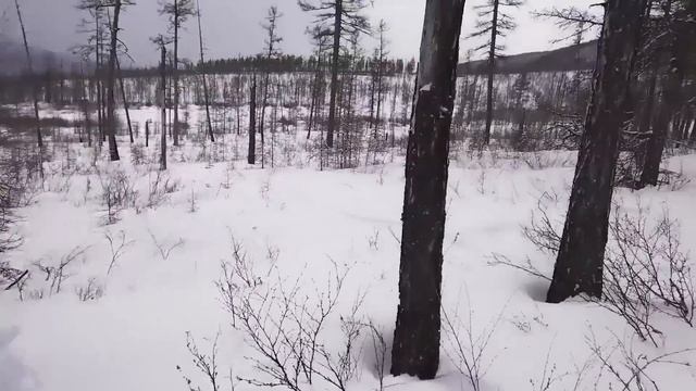 ТАМ ГДЕ НЕТ ЛЮДЕЙ / ДАЛЕКО В ТАЙГЕ / ДЕНЬ 2