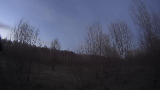 Охота на вальдшнепа на вечерней тяге,и такое бывает,Весна 2019.