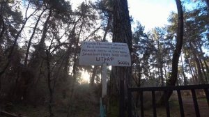 Отдых в Абхазии зимой 2021\ Пицунда \ Сколько идти до моря от отеля.