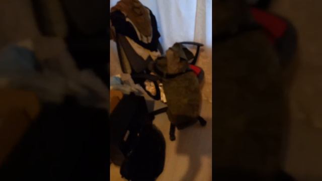 обзор на кресло кугар