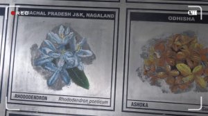 STATE FLOWERS OF INDIA