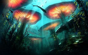 Подводное царство грибов и грибы, о которых Вы не знали