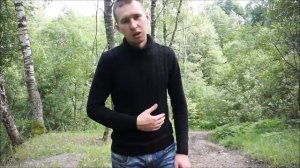 "К Чаадаеву", Пушкин