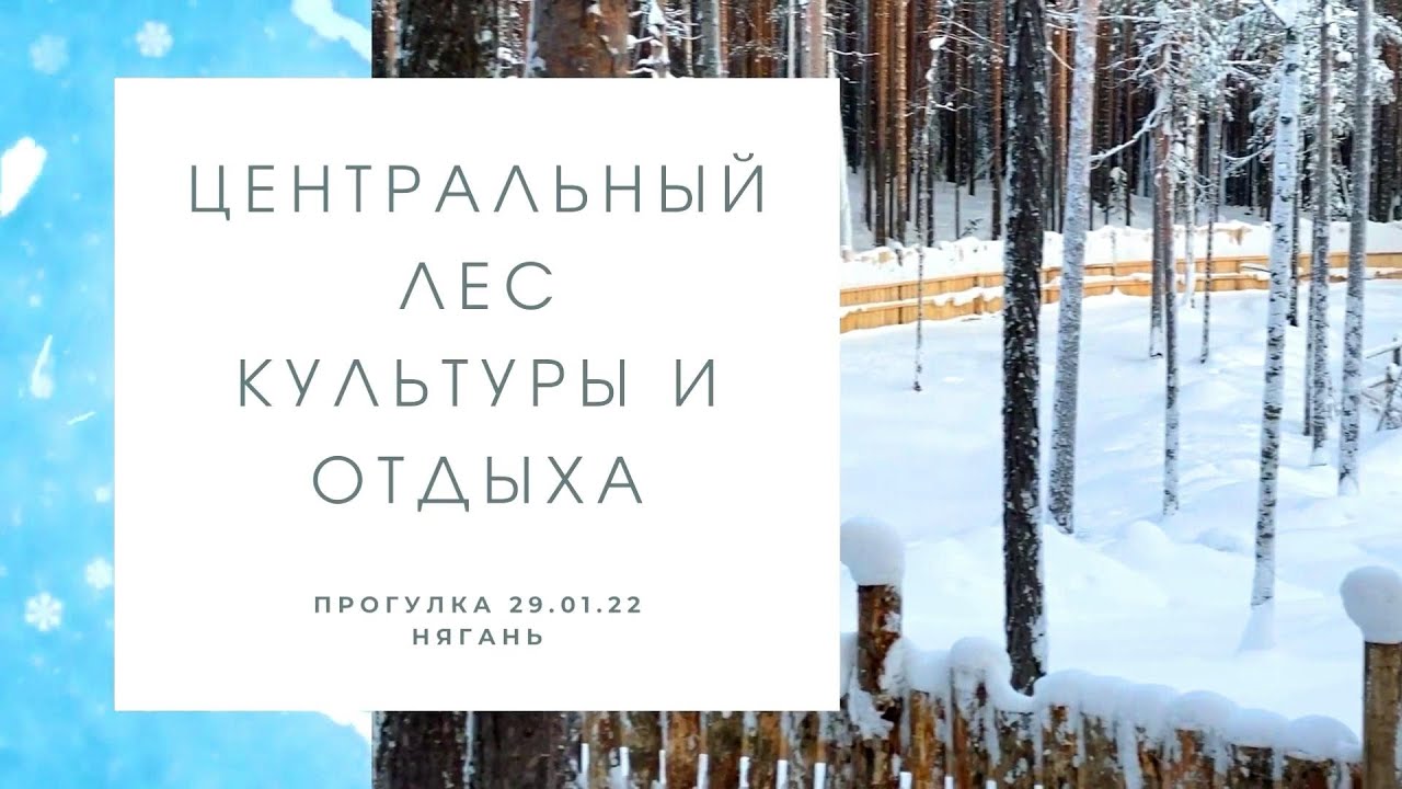 Центральный лес культуры и отдыха / Нягань / Прогулка в мороз