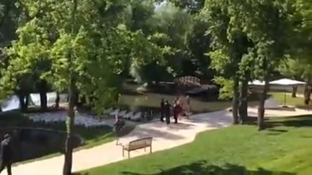 Saxviolin Воронеж