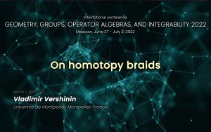 On homotopy braids