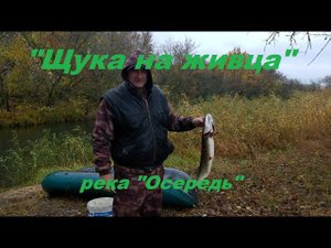 "Щука на живца", река "Осередь". (Живые поклевки, хороший улов!).