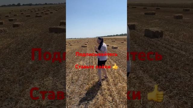 Горох перспективная культура, лучший предшественник под зерновые и отличный корм для животных. смотреть онлайн