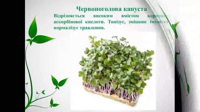 Способи вирощування мікрозелені смотреть онлайн