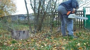 Бензопила Stihl ms 180 пилим мелкие деревья.