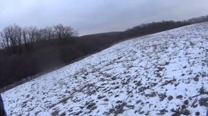 охота на зайца с русской гончей