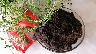 Маковая начинка для рулетов, булочек_ все секреты приготовления фарша из мака.