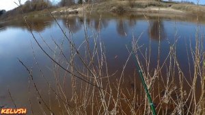 30 МИНУТНАЯ РЫБАЛКА НА РЕКЕ ИЛЕТЬ.