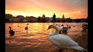 Бедржих Сметана - Влтава (Moldau)