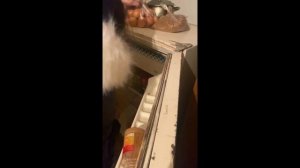 ИРИШКА ЧИКИ-ПИКИ С ОЛЕГОМ МОНГОЛОМ ПРИШЛИ К САНЕ БЫКУ. САНЯ БЫК ОПЯТЬ В ЗАПОЕ