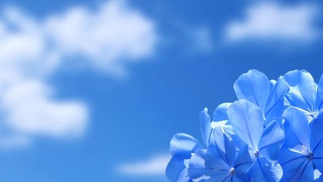 Как быстро прокачать чакры. Сделайте диагностику чакр