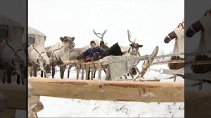 The People of the Deer Land. Indigenous peoples of the Russian North. Survival in Siberia.