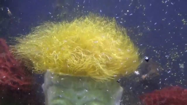 3.2 g Desktop Tank смотреть онлайн