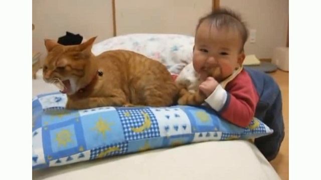 Смотрите дети, это утка смотреть онлайн