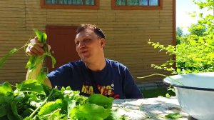 Бульденеж в деревне Межадор. Заехали к Николаю Ивановичу за щавелем.