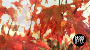 Красивые стихи про осень  |  Я пришлю тебе осень - Надежда Капошко  |  Осенняя поэзия