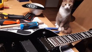 Ставим на гитару активный и пассивный звукосниматель одновременно