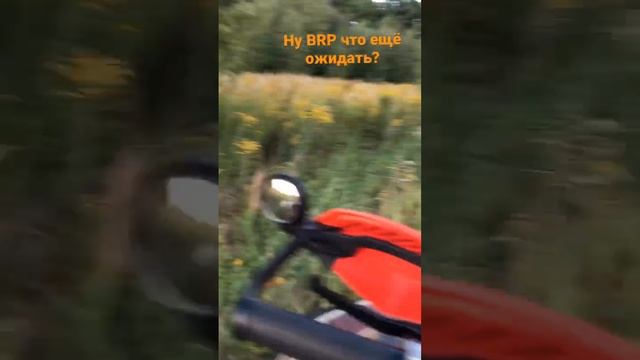 Брп норм едет #xmr #грязь #багги #квадроцикл #brp #болото #brp #болотоход