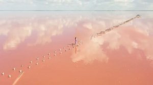 Розовое озеро Сасык-Сиваш Крым, сентябрь 2020