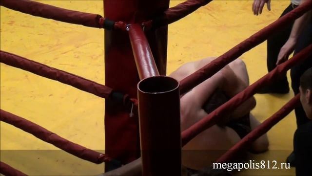 Mix Fight m1 Микс Файт М1 2013 Санкт-Петербург Mix Fight "Феникс" смотреть онлайн