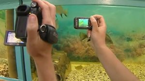 Аквариум-Анапа-Батискаф