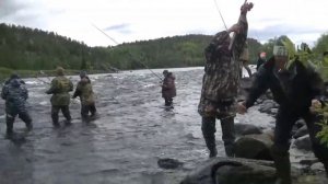 Ловим горбушу рыбалка на реке Умба