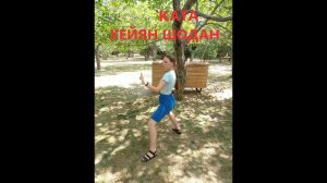 Ката хейян шодан. Карате.