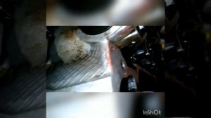 Замена сальника распредвала своими руками