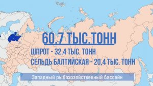 Российские рыбаки выловили более 4,3 млн тонн рыбы – на 11,7% выше уровня прошлого года