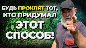 Соломенное земледелье или картофель в развал?//Живая Баня Иван Бояринцев