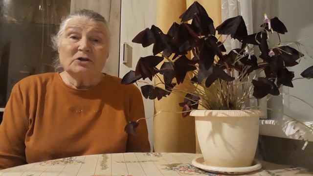 Истории из моей жизни.Случай в тайге. " Благодарность волчицы " смотреть онлайн