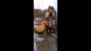 Раскручиваем кота в кресле