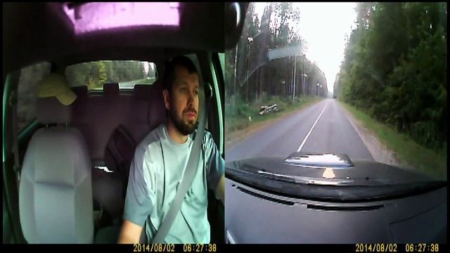 Лось в заповеднике смотреть онлайн