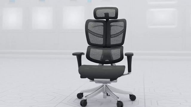 Эргономичное кресло ERGOSTYLE FLY
