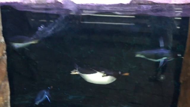 Самый первый Леголенд в Дании, Билунн смотреть онлайн