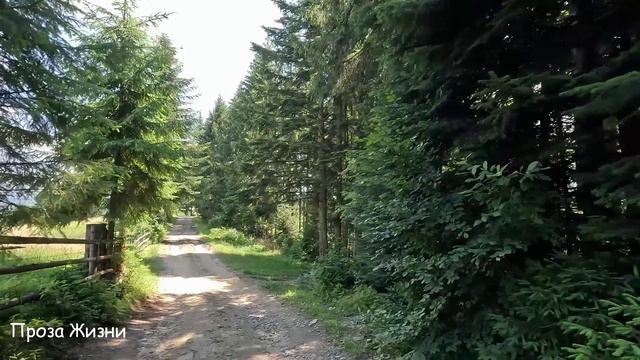 Свекровь заявилась с чемоданами в невесткину квартиру, но та не стерпела...