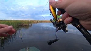 Рыбалка на ВОЛКЕР. Жаркий июнь!