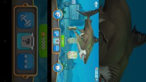 Обзор игры hangri shark world (мир голодных акул)