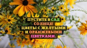 Пустите в сад солнце!
Цветы с желтыми и оранжевыми цветками.?