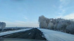 Кулундинская степь. Алтайский край.