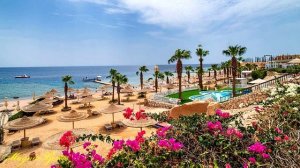 Отели Египта:      Savoy Hotel 5*     ( Шарм Эль  Шейх )