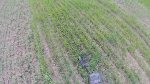 Поиск монет в поле