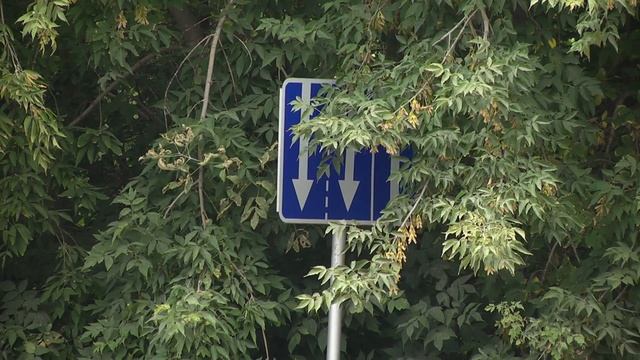 19.09.21 "Дорожный контроль" подвел итоги мониторинга ремонт новосибирских дорог смотреть онлайн